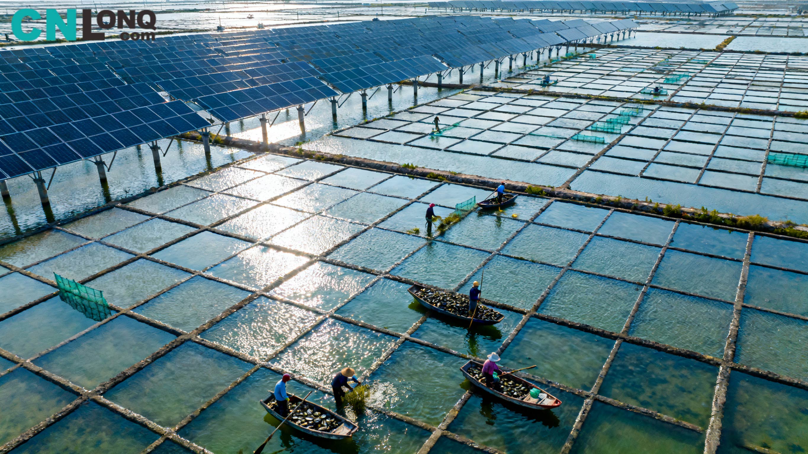 RMB ची एकूण गुंतवणूक 1.2 अब्ज! Xindao Qingkou सॉल्ट फील्ड 250MW 